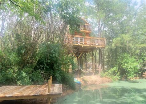 Waterfront treehouse in a magical forest
